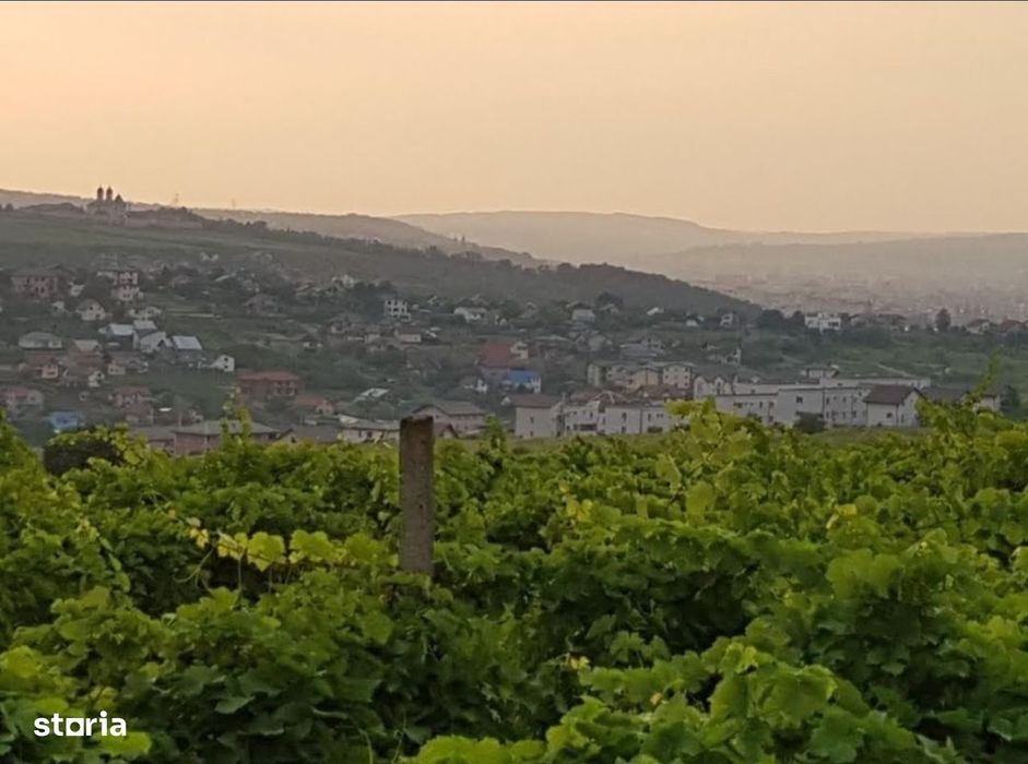 Teren 1600mp Vișan - Str. Al. Macedonski Ideal Dezv/ Duplexuri / Bloc