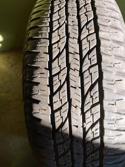 Диски с летней резиной якохамаа