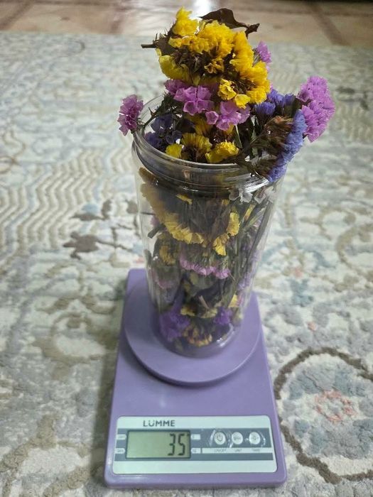 Сухоцветы для творчества