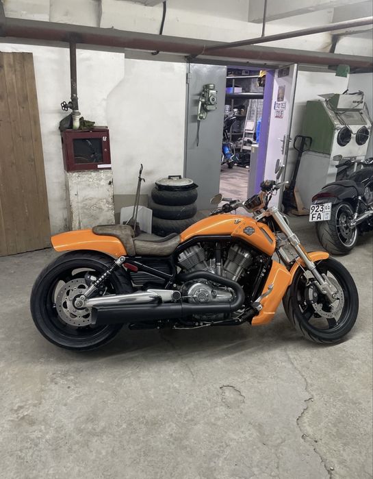 Срочно Harley Davidson V-Rod