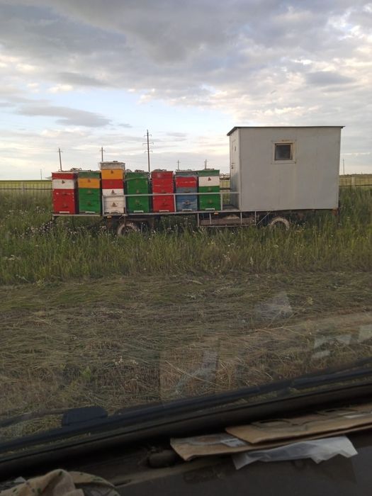 Пчеловодческий прицеп