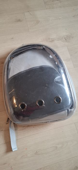 Отдам кота в хорошие руки