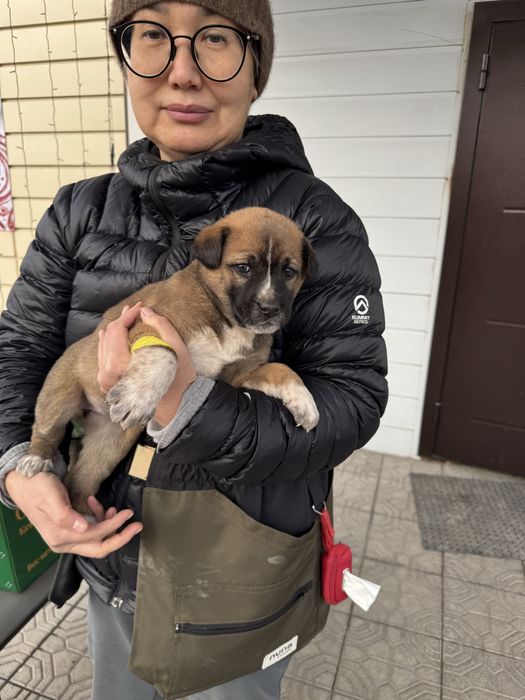 Крошка 1,5 месяца ищет домик