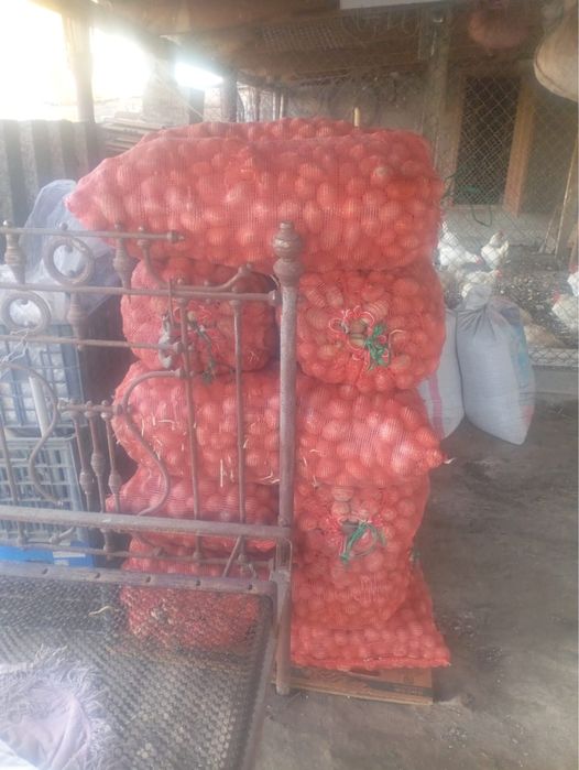 Продам отборную картошку