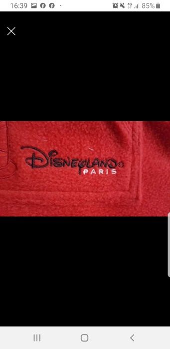 Vand hanorac Disneyland Paris