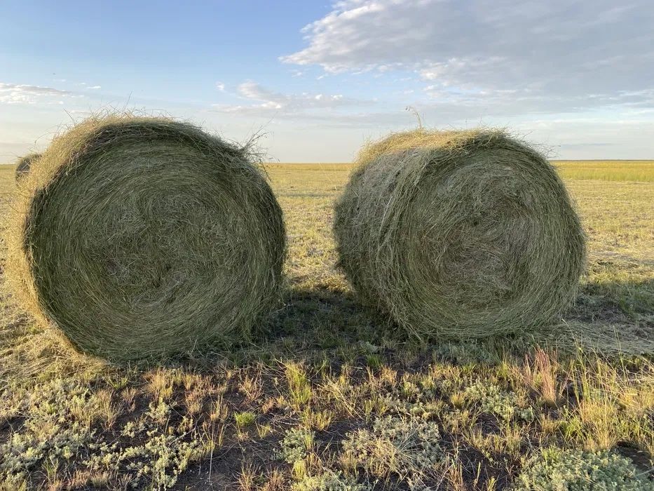 Сено круглый тюк шоп