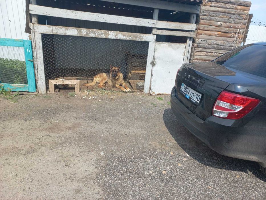 Продается частный дом в п. Майколь