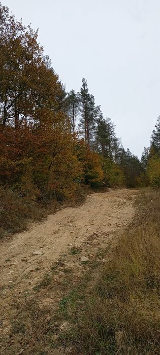 Продава се Земеделски имот в с. Средногорци, Област Смолян -  кв.м за 1573 €/дка - Снимка #3