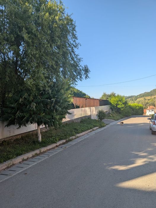 Casa cu gradina in Veseud