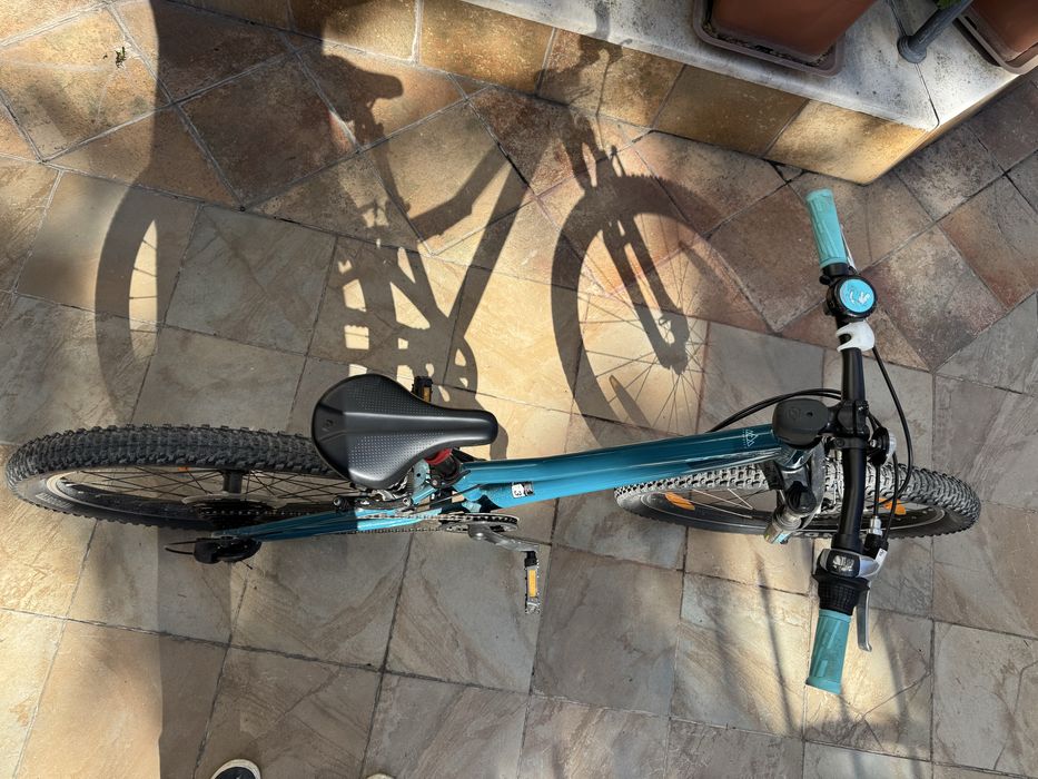 Scott Contessa 24”