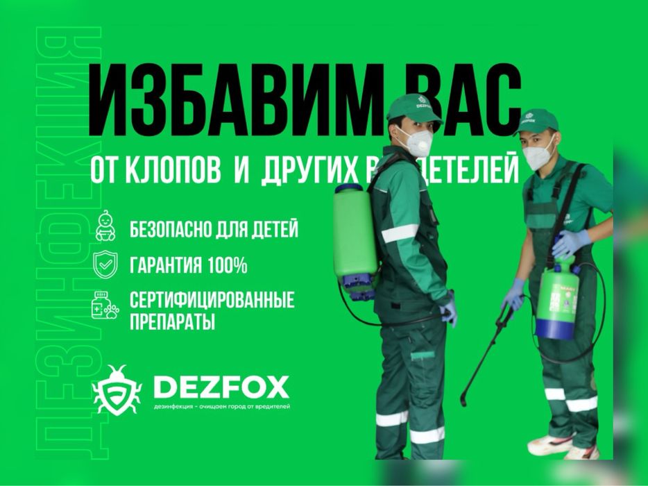 Дезинфекция Дизенфекция Обработка от Тараканов Блох Алматы Есть Гарант