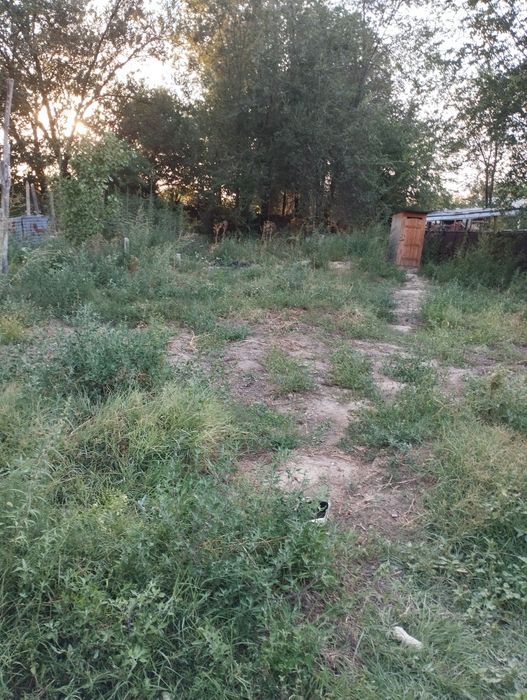 Продам дом в центре Ащибулака