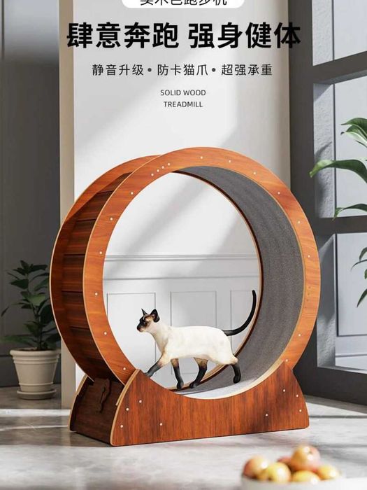 Колело - бягаща пътека за котки