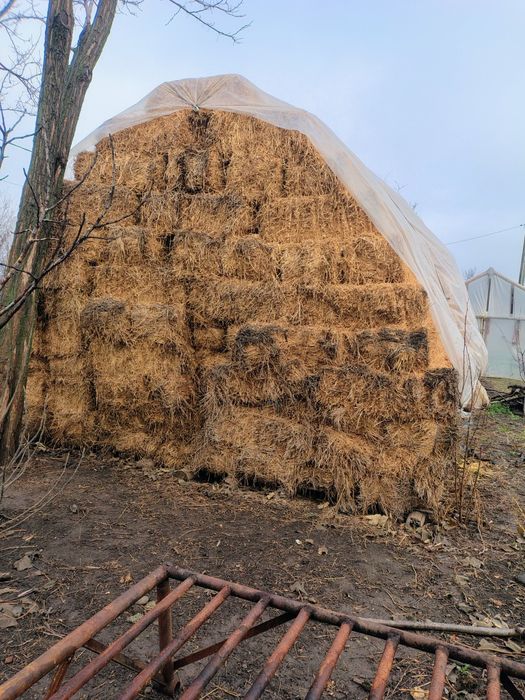 Baloti lucerna detali la telefon