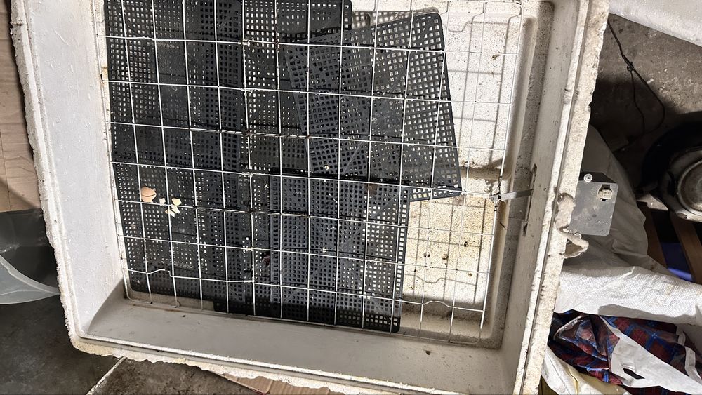 Инкубатор сатылады