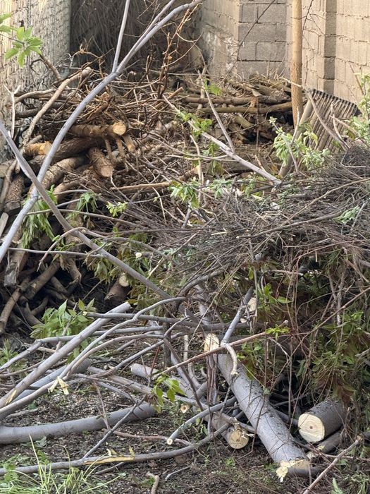 Бесплатные дрова