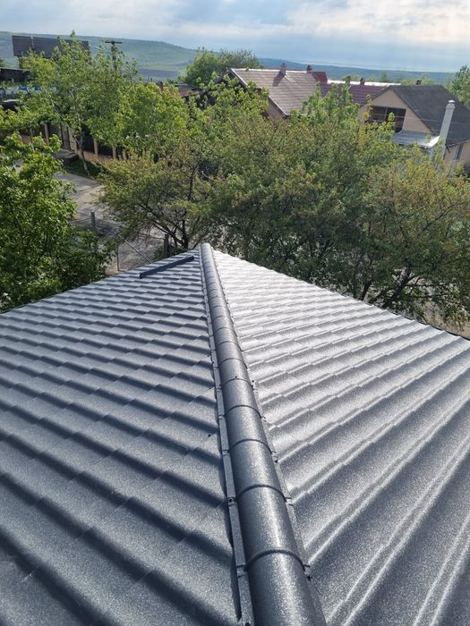 Acoperișuri Complete