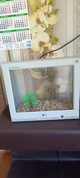 Аквариум для рыбы