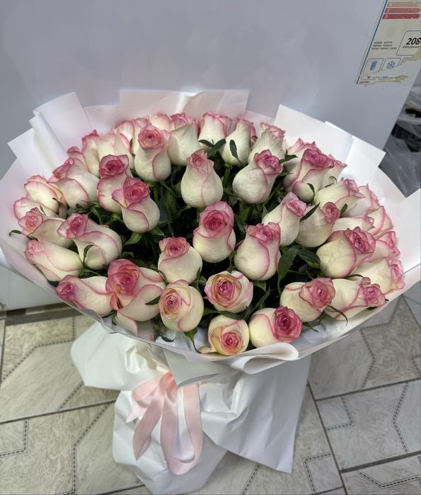 Розовый Роза 51 свежи