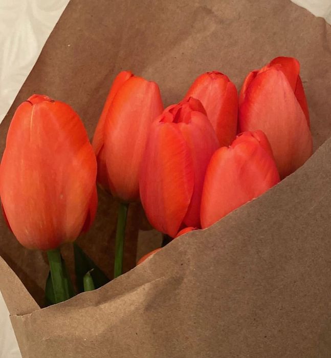 Тюльпаны к 8 марта