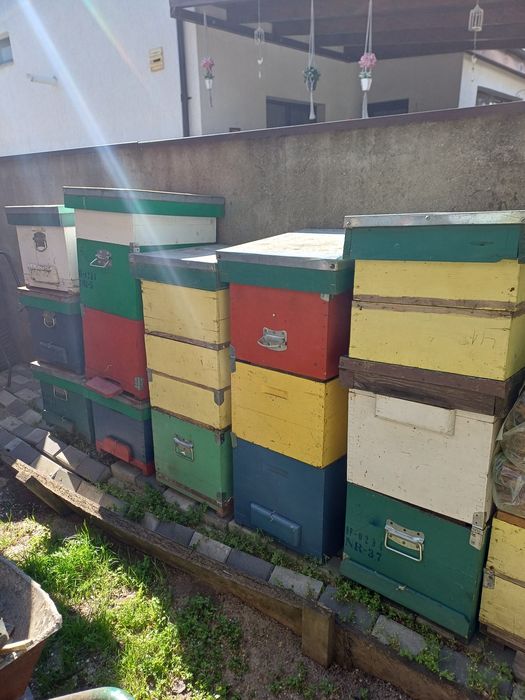 De vânzare, lichidare stupina