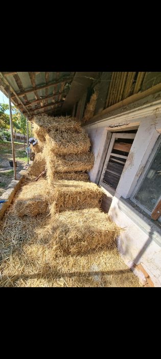 Baloți de paie de grâu