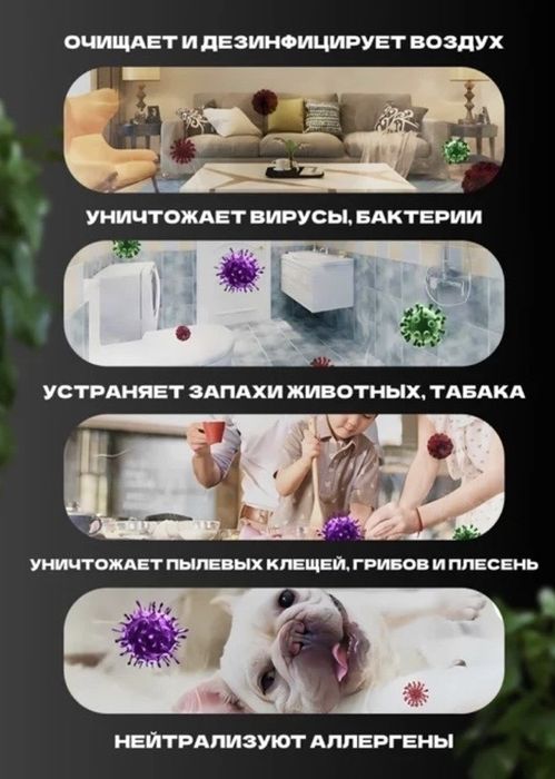 Озонатор Air Purifier Caiyue