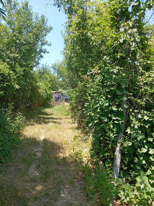 Casa cu gradina de vanzare