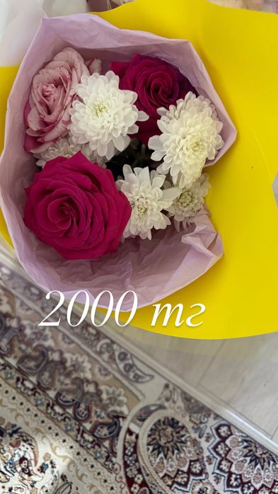 цветы в отличном состояний