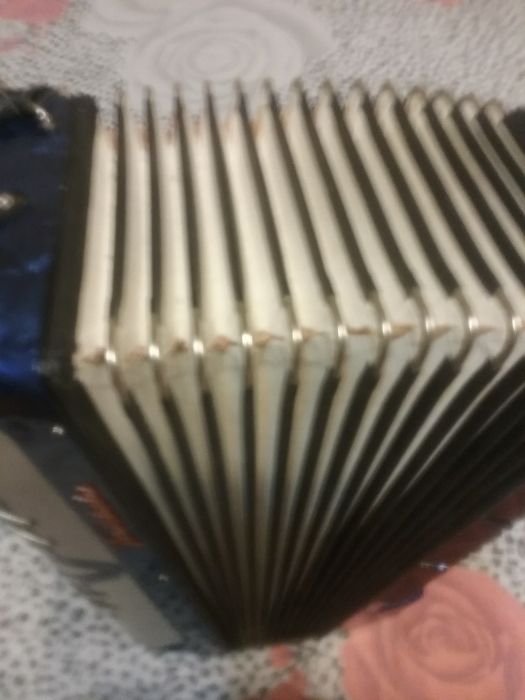 Acordeon traviata 80 de bași