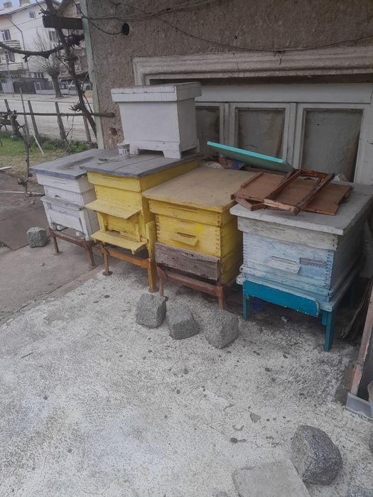 Стари кошари с магазини в добро състояние