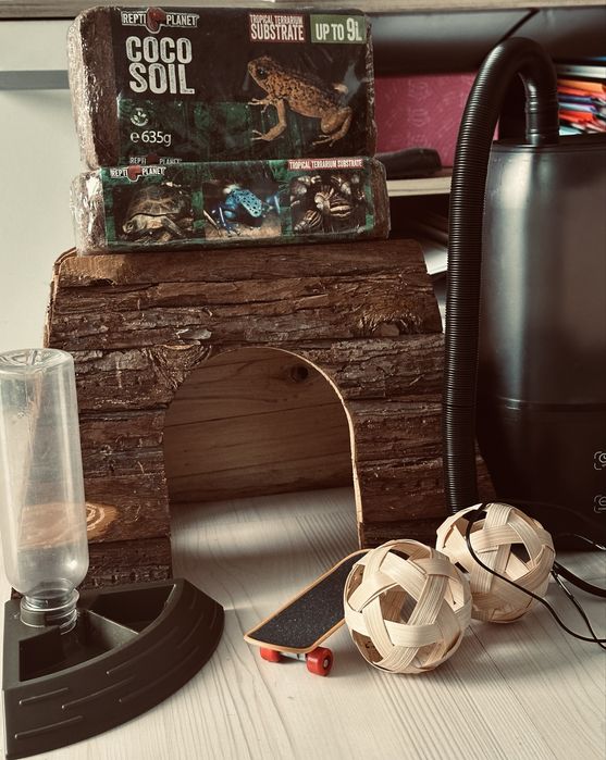 Accesorii terariu reptile