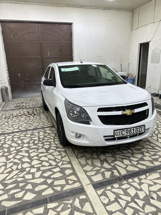 Cobalt MCM midnight 2025-26