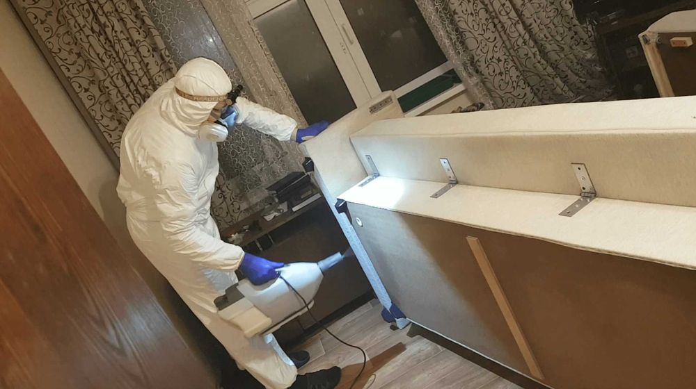 Dezinfeksiya xizmati klop tarakan pasha chivin