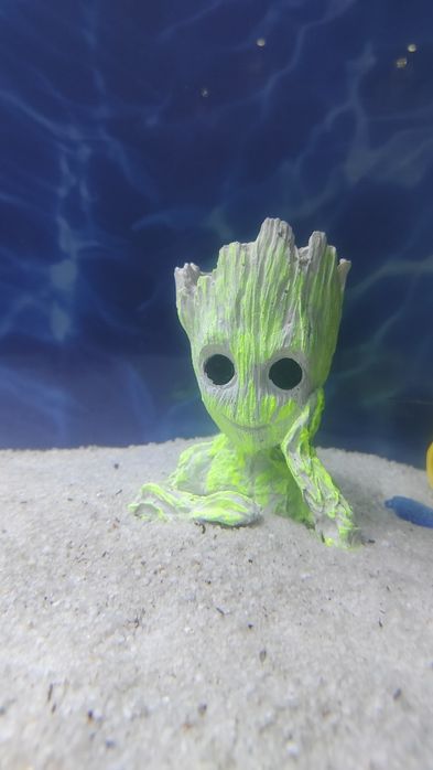 Akvarium va dekaratsyalar sotiladi