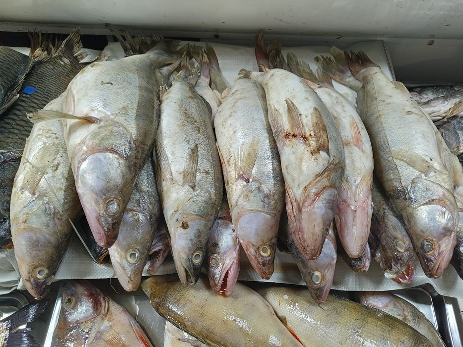 Свежая рыба с доставкой