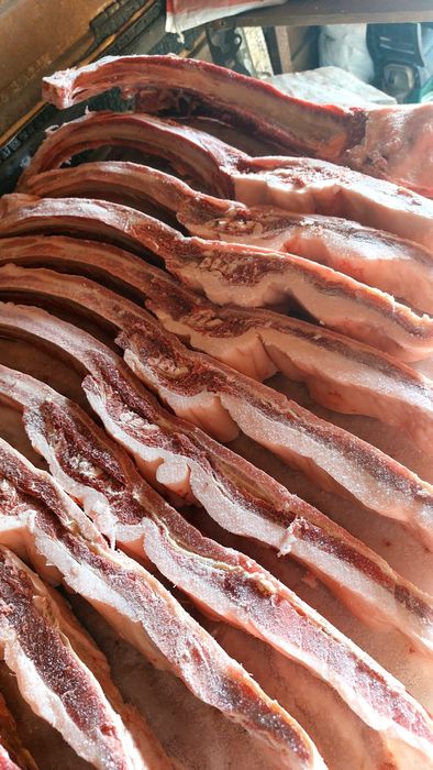 Продам конина с откорма