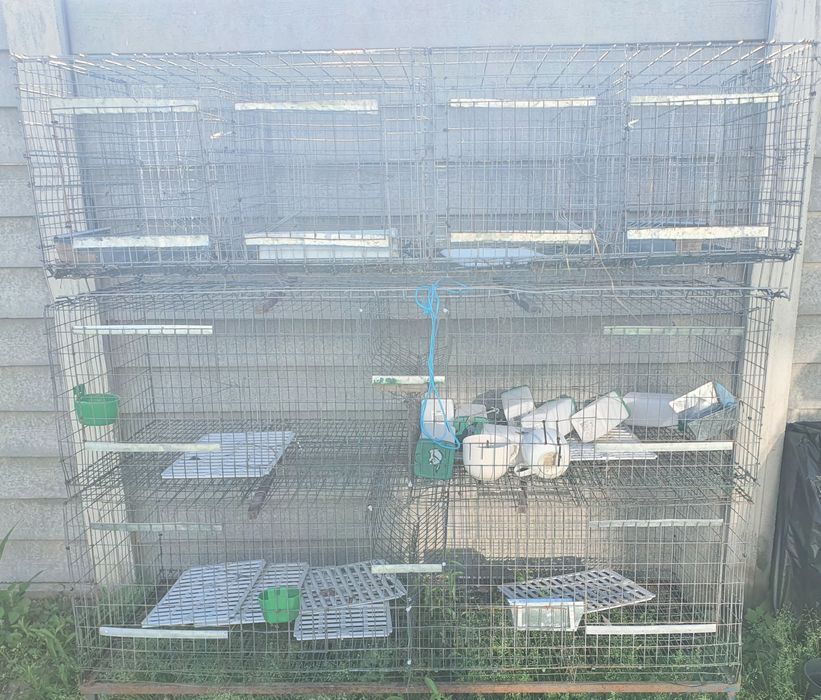 Vând cuști pentru iepuri, cuști pentru  prepelițe, maternitate pui