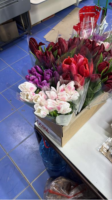 Тюльпаны по 600 тенге