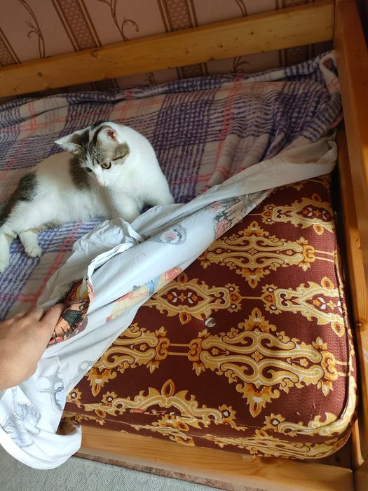 Продам кровать Домик