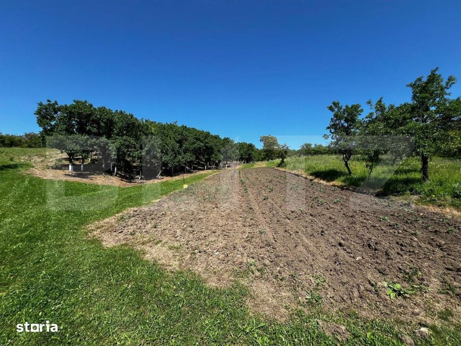 Livada in Arcalia, langa padure - 4.000 mp