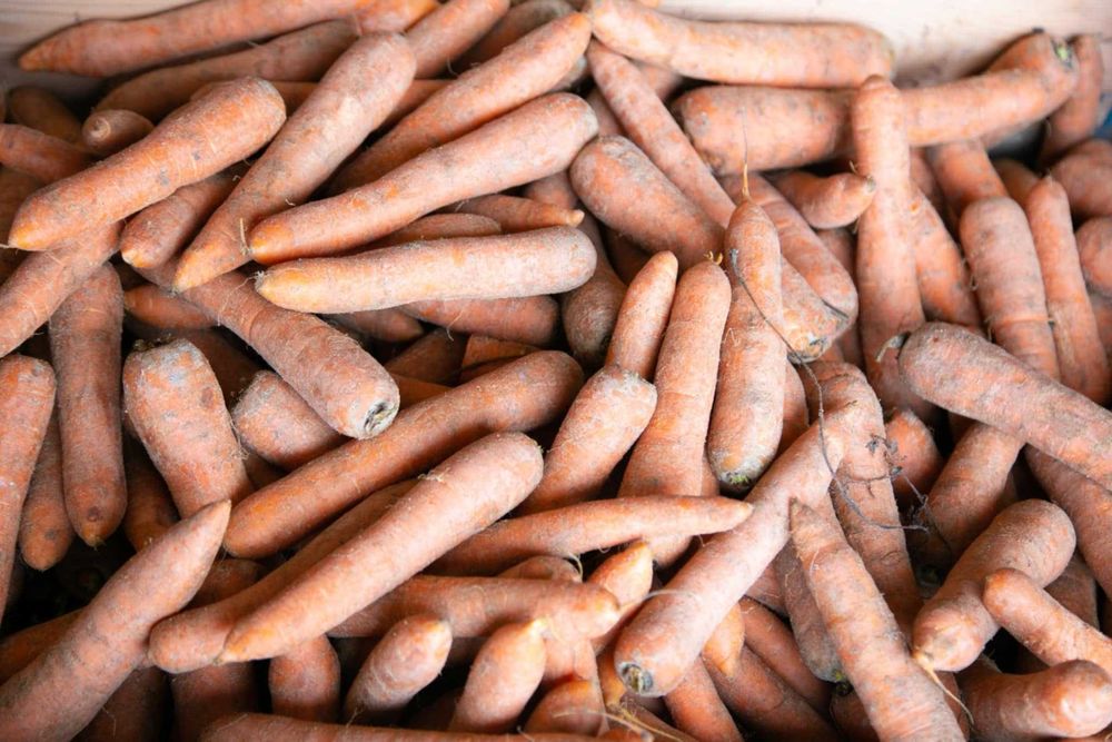 cartofi consum, ceapa,morcovi