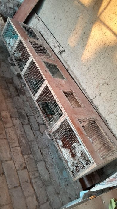 Katakchalar sotiladi