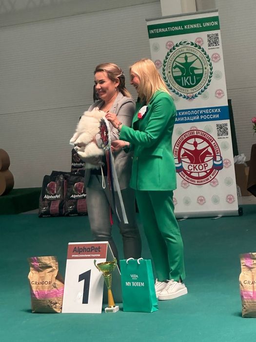 Дрессировка и передержка собак