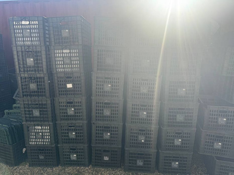 Пластиковый ящик