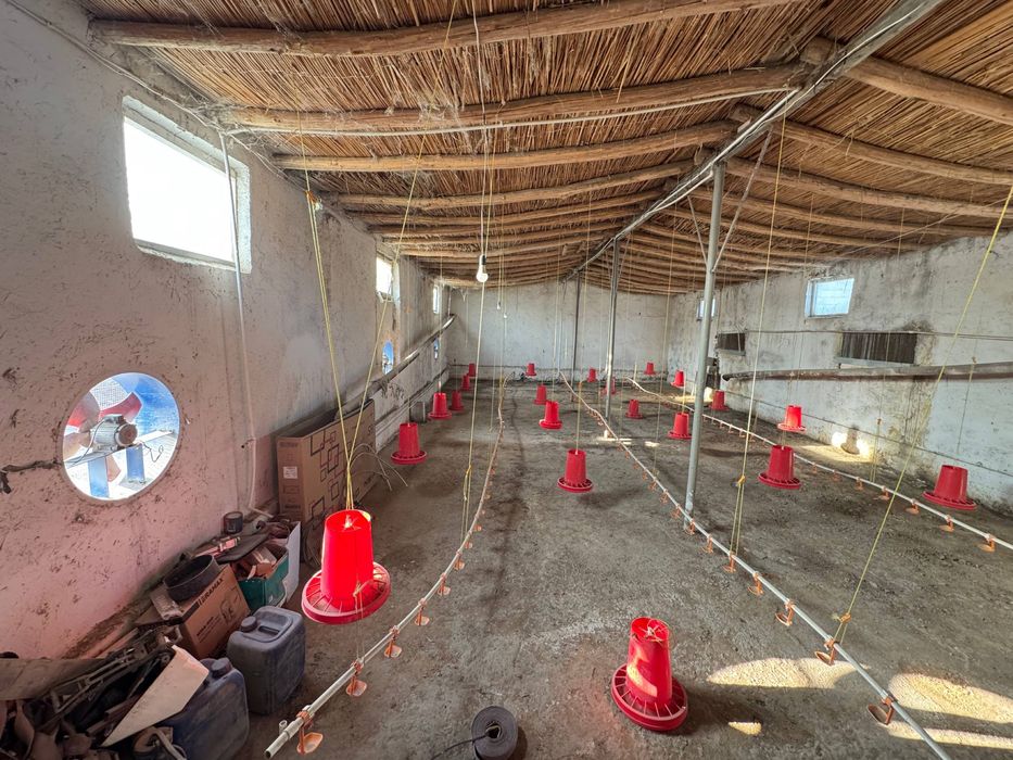 Dom uchun yer maydoni QizilTepa shahar