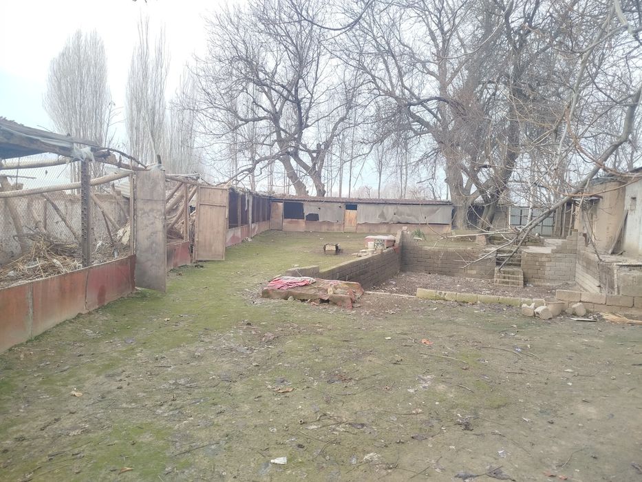 Ховли жой Сотилади ёки арендага ёки алишамиз.