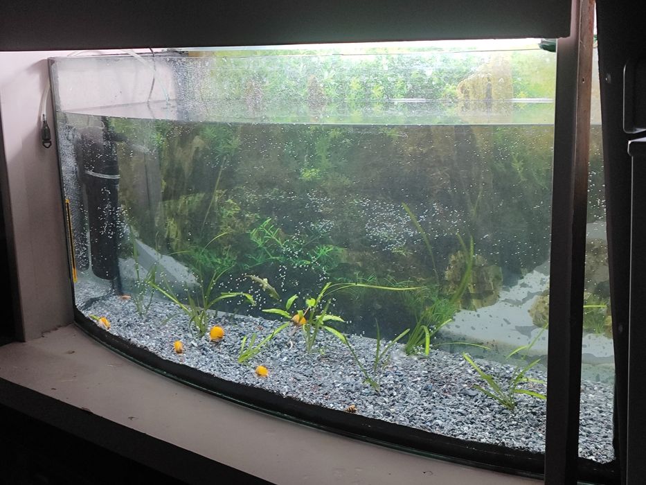 Аквариум 100 литров