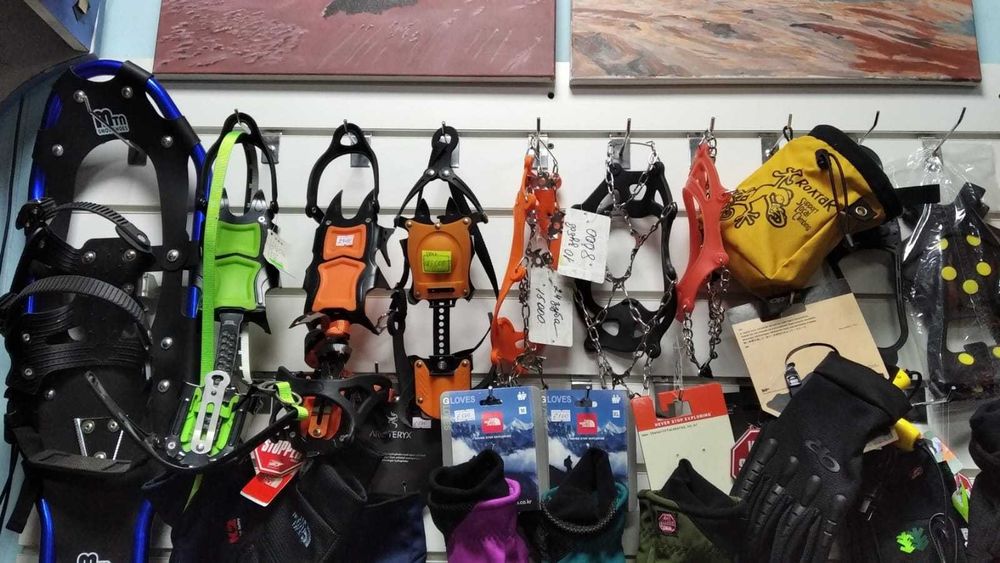 Продаются кошки с котятами