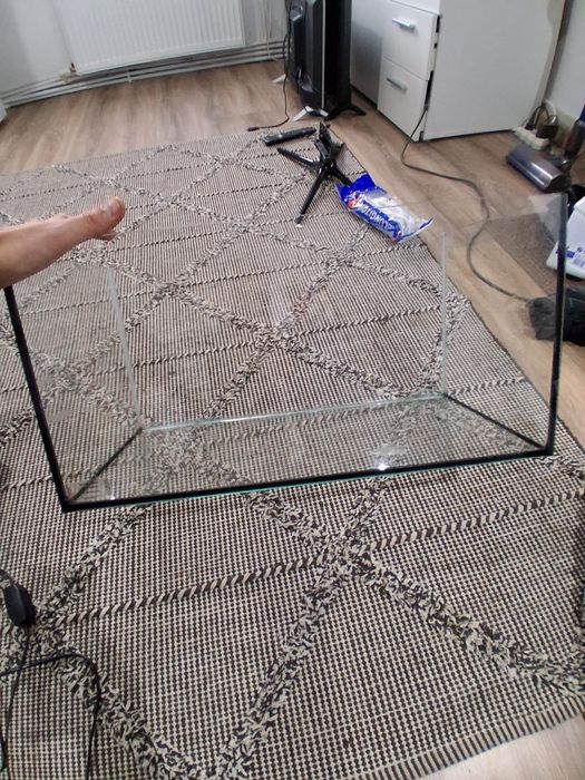 Acvariu Pesti  bine intretinut